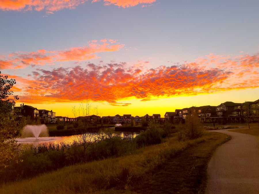 Residential neighbourhood and pond at sunset in Airdrie, Alberta