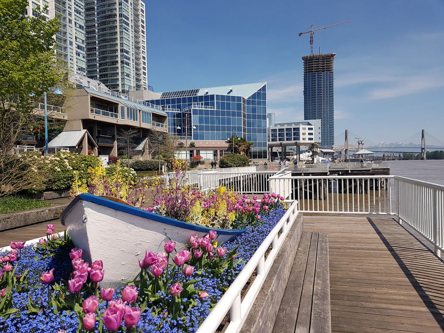 New Westminster waterfront and SkyBridge along the Fraser River in British Columbia