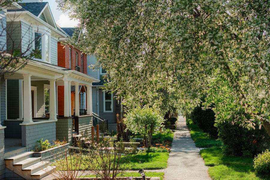 Tree-lined residential street with historic homes in Calgary, Alberta