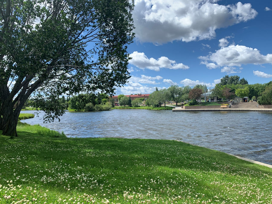 Broadmoor Lake Park in Sherwood Park, Alberta on a sunny summer day
